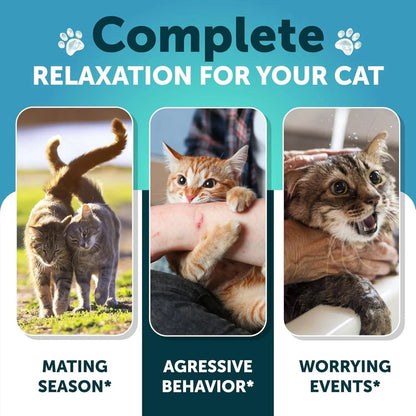 Cat Calming Treats For Stress & Anxiety Relief Cat Kittens Melatonin My Store