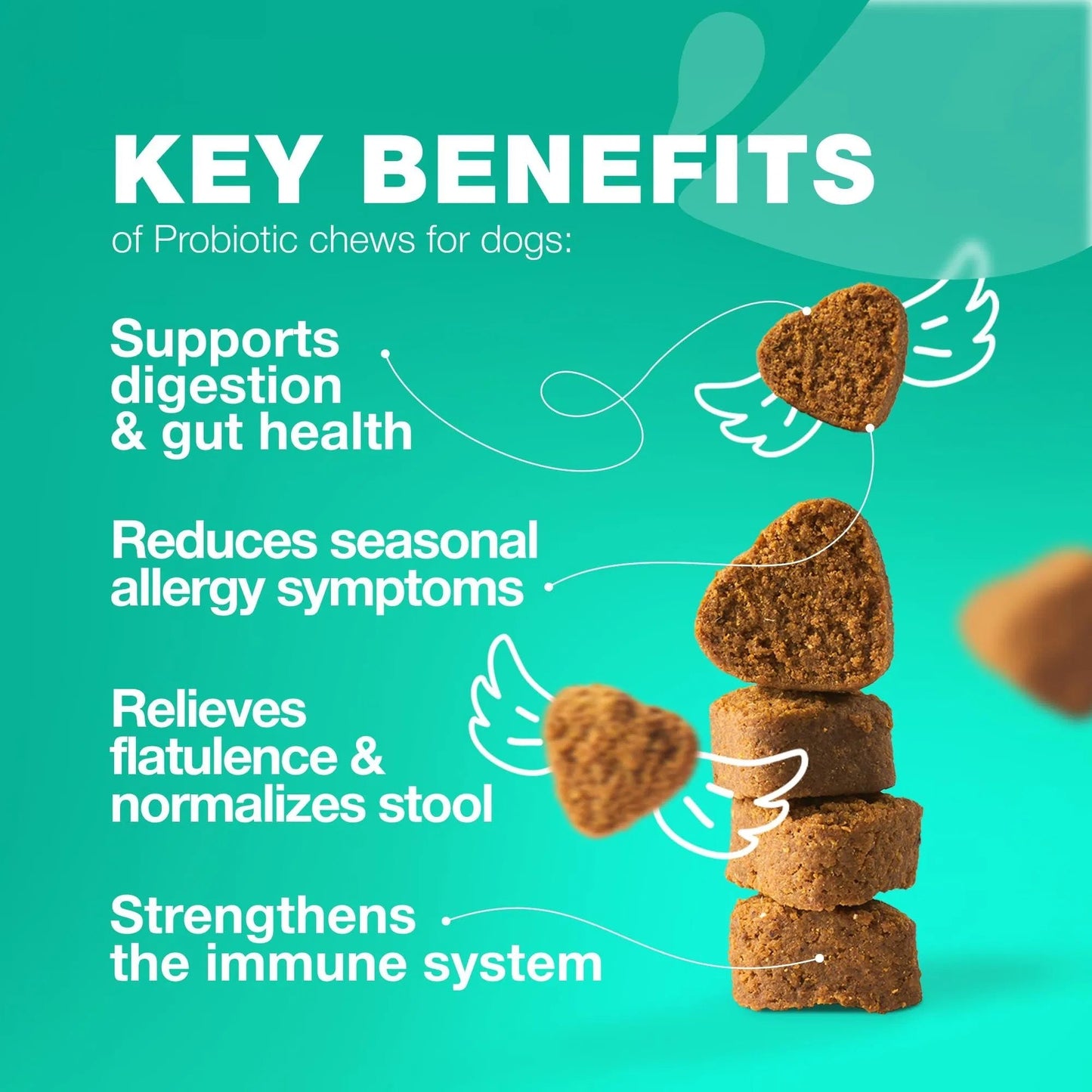 Gut Health Immunity Yeast Balance Itchy Skin Allergies Probiotics And Digestive Enzymes -180 Probiotic Chews For Dogs My Store