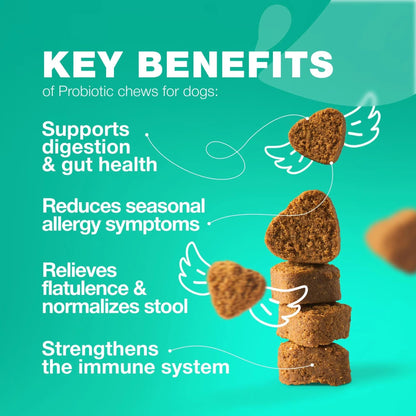 Gut Health Immunity Yeast Balance Itchy Skin Allergies Probiotics And Digestive Enzymes -180 Probiotic Chews For Dogs My Store