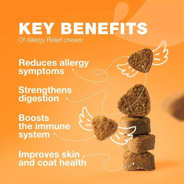 Dog Allergy Relief And Itch Relief Chews With Salmon Oil Immune Health My Store