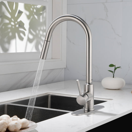 Stainless Steel Kitchen Sink Faucet With Pull-down Sprayer My Store