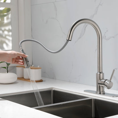 Stainless Steel Kitchen Sink Faucet With Pull-down Sprayer My Store