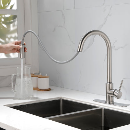 Stainless Steel Kitchen Sink Faucet With Pull-down Sprayer My Store