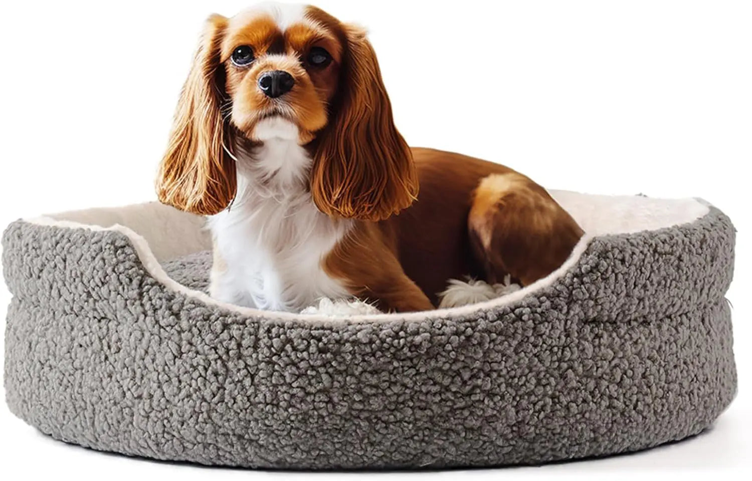 Pet bed My Store