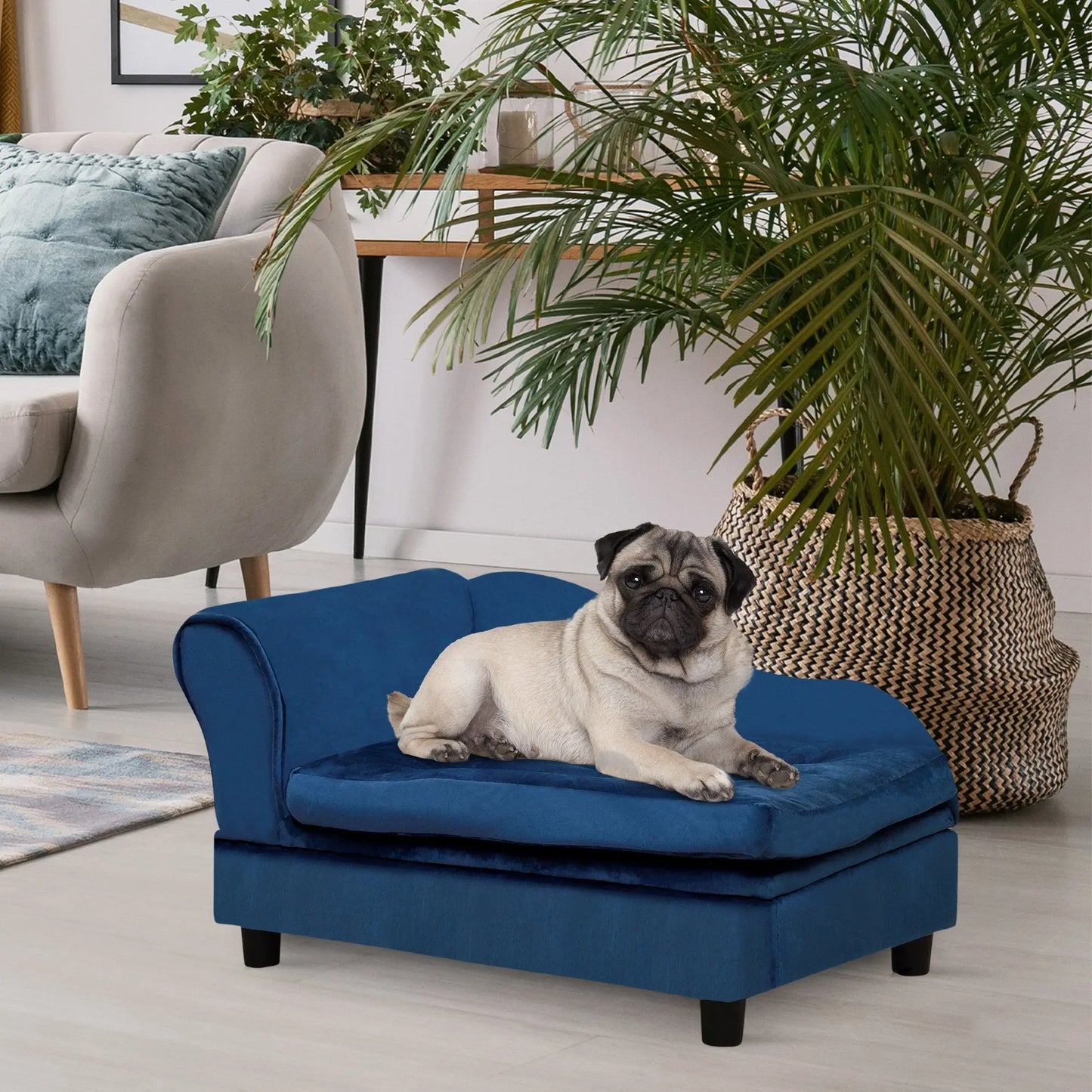 Luxury Small Dog Bed With Hidden Storage My Store