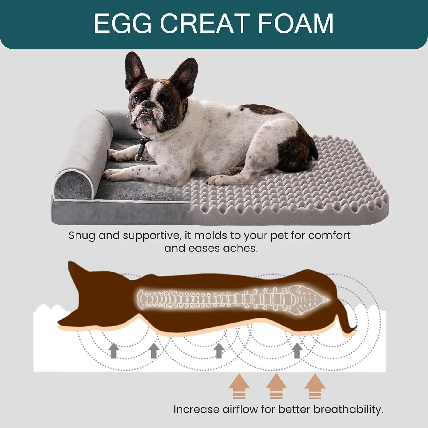 MEWOOFUN Orthopedic Dog Bed For Large Dogs - XL My Store