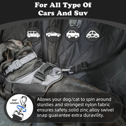 The Two - Piece Dog Leash Set Is Made Of Wear - Resistant And Skin - Friendly Materials My Store