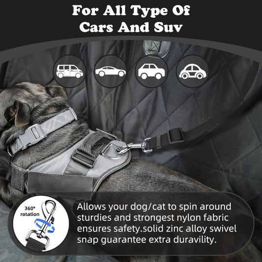 The Two - Piece Dog Leash Set Is Made Of Wear - Resistant And Skin - Friendly Materials My Store