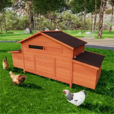 Large Wooden Chicken Coop With 2 Sides Nesting Boxes,2 Free-range Doors My Store