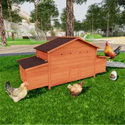 Large Wooden Chicken Coop With 2 Sides Nesting Boxes,2 Free-range Doors My Store