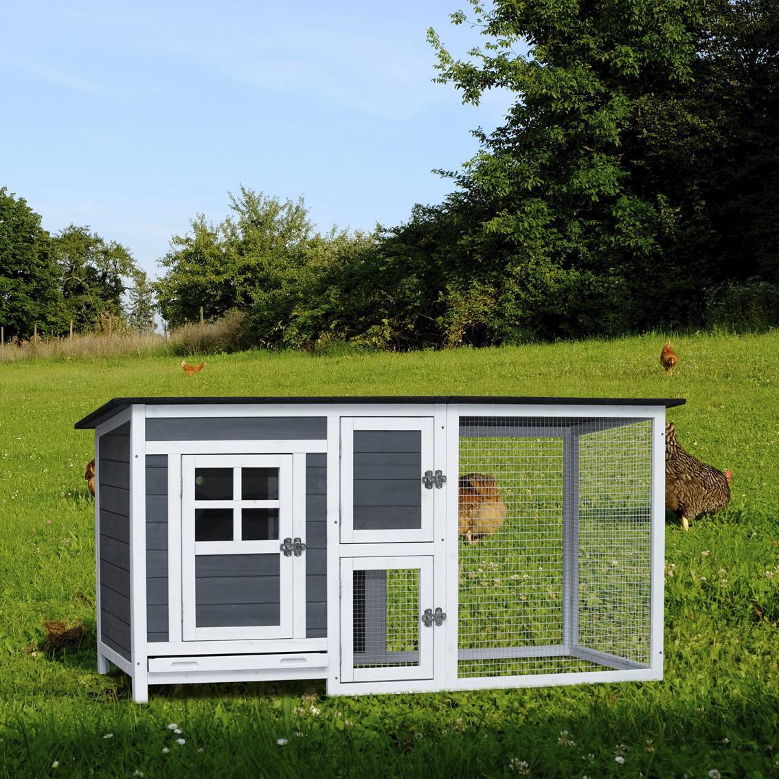 Poultry Cage My Store