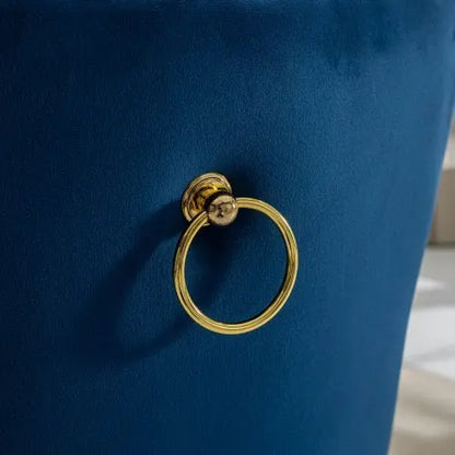 High-end Tufted Solid Wood Contemporary Velvet Upholstered Dining Chair With Golden Stainless Steel Plating Legs,Nailhead Trim,Set Of 2 My Store