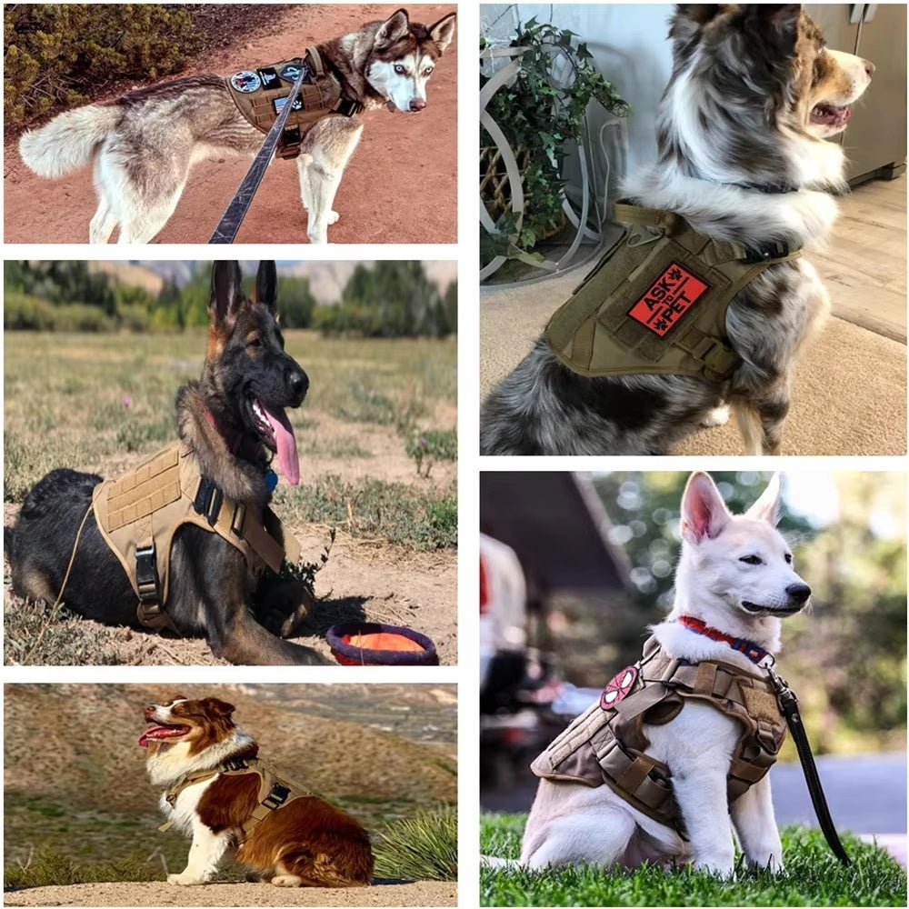 Dog Harness My Store