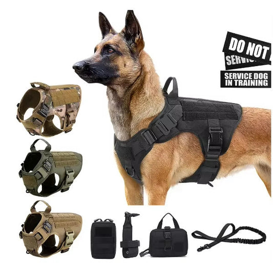 Dog Harness My Store