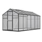 6' X 12' Thicked Polycarbonate Greenhouse With Double Flush Door My Store