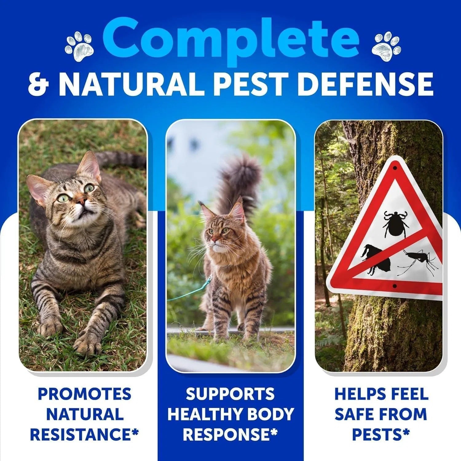Flea Treatment For Cats Natural Flea And Tick Prevention Supplement For Cats Kittens Chewable Daily Oral Pills With Vitamins -135 Soft Chews My Store