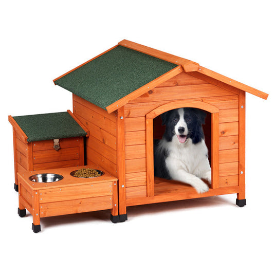 Green Asphalt Roof Golden Red Pet House My Store