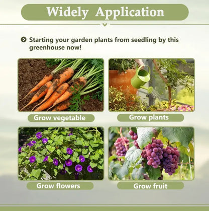 6' X 12' Thicked Polycarbonate Greenhouse With Double Flush Door My Store