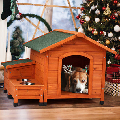 Green Asphalt Roof Golden Red Pet House My Store