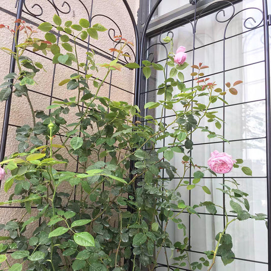 Metal Garden Trellis For Outdoor Climbing Plants Inkedjoy