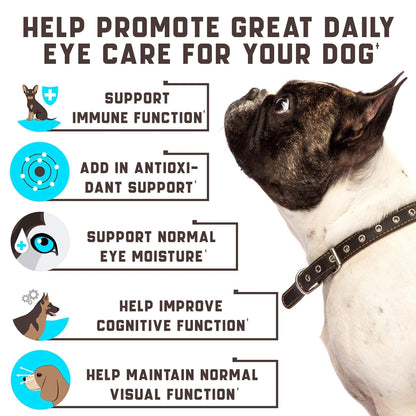 Eye Vitamins For Dogs Dog Vision My Store