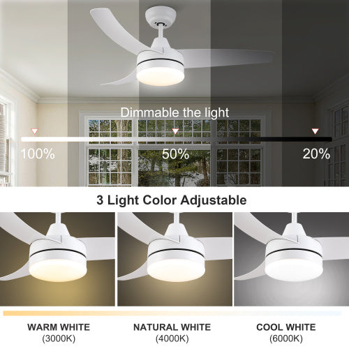 42 Inch Indoor White Ceiling Fan With LED Light My Store