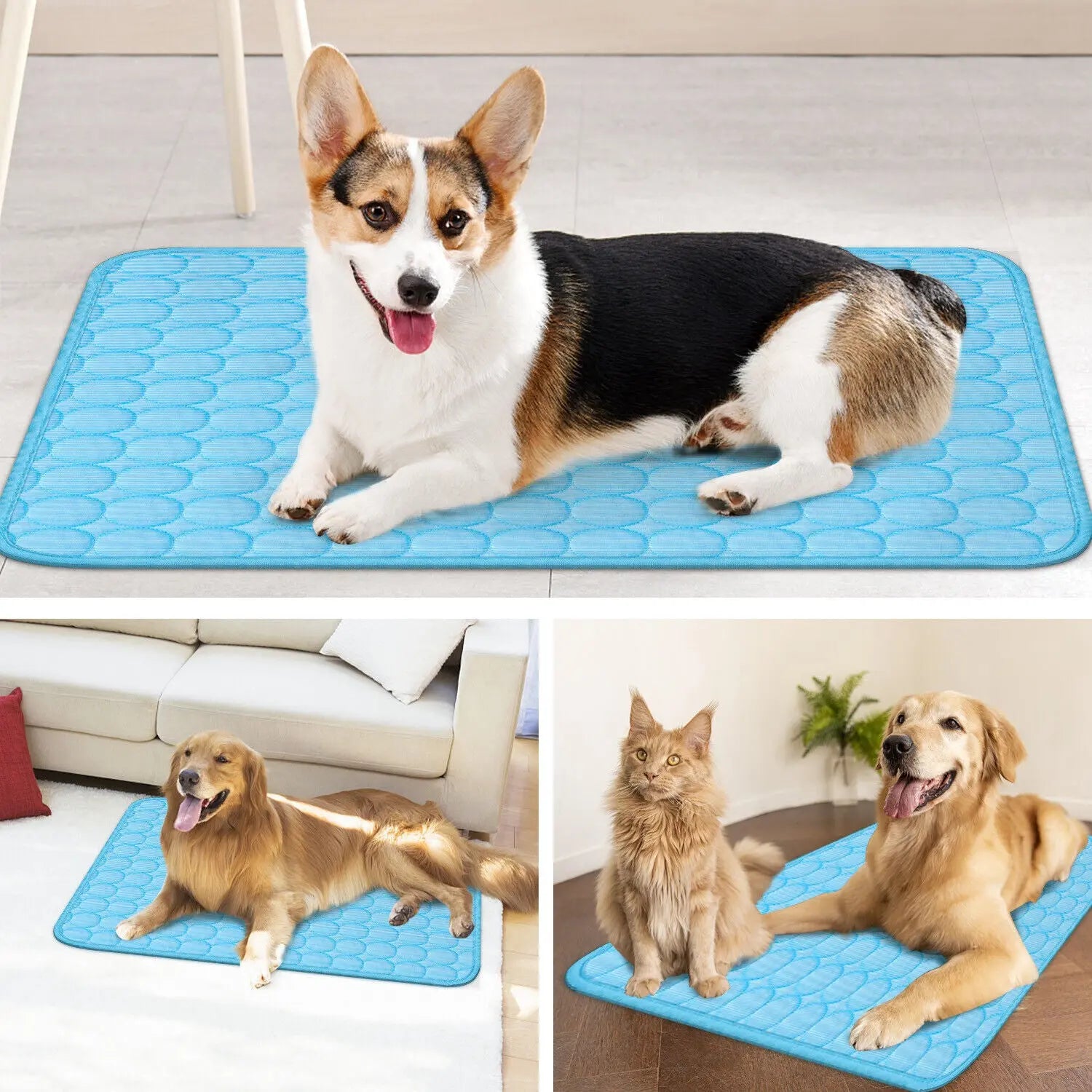 Pet Cooling Mat My Store