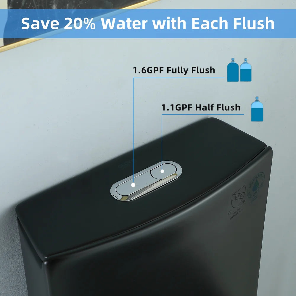 Dual-Flush, Water-Saving Elongated Ohberri