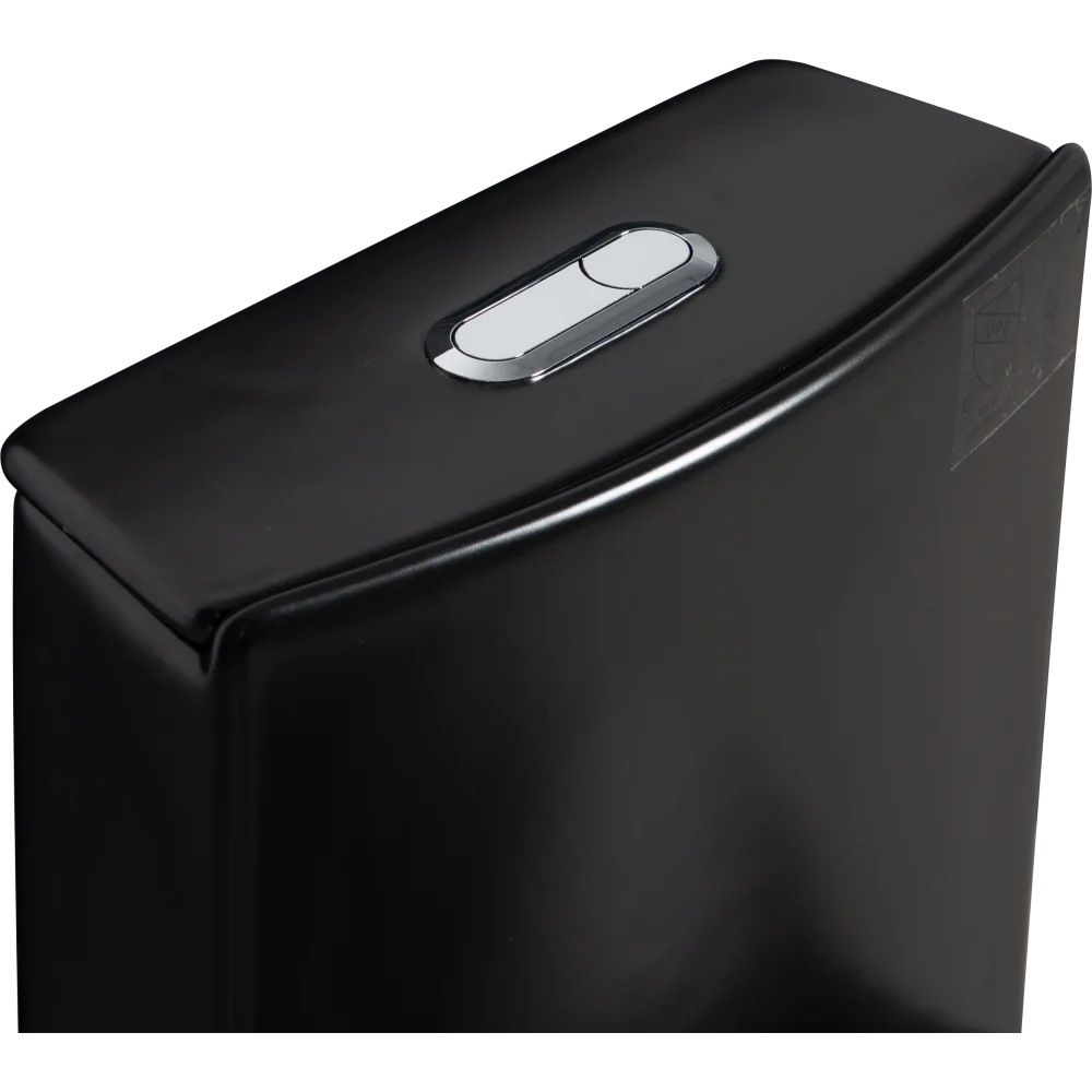 Dual-Flush, Water-Saving Elongated Ohberri