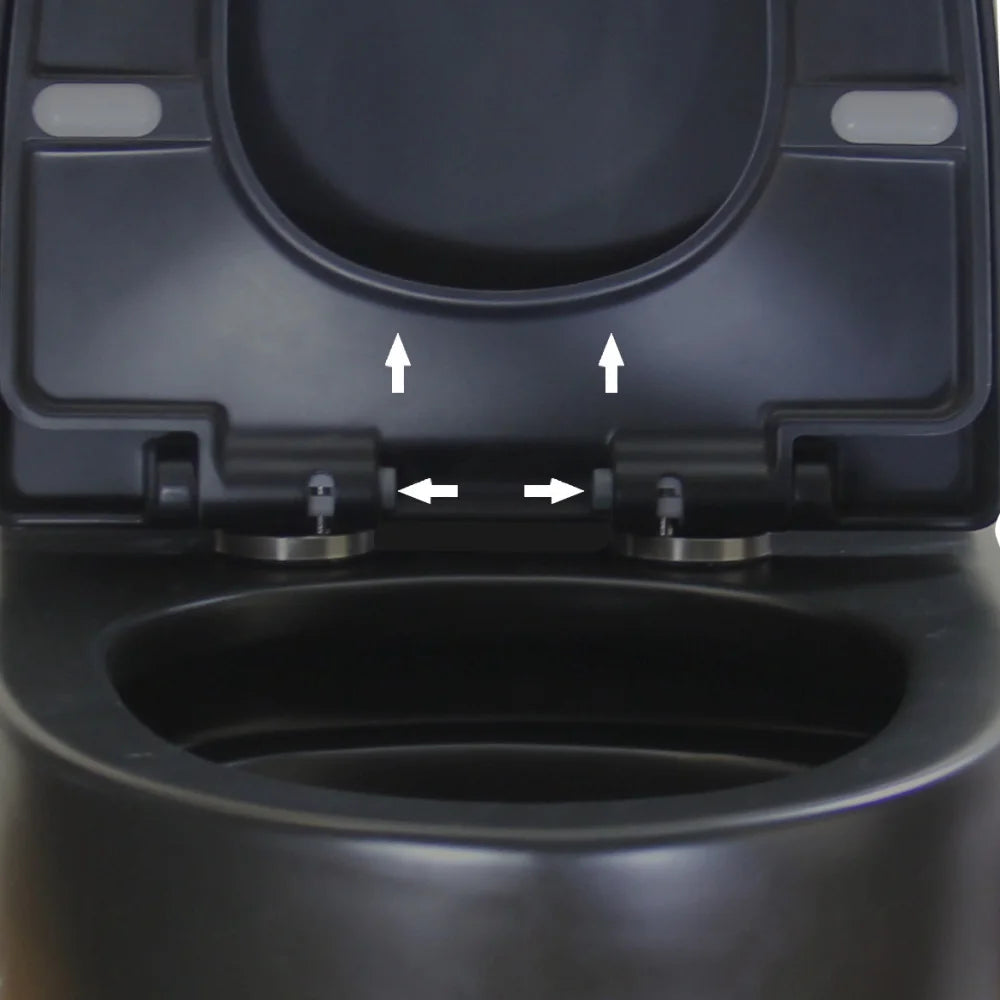 Matte Black Elongated One Piece Toilet Dual Flush 1.1/1.6 GPF Water Saving Map 1000g,Matte Black Ohberri