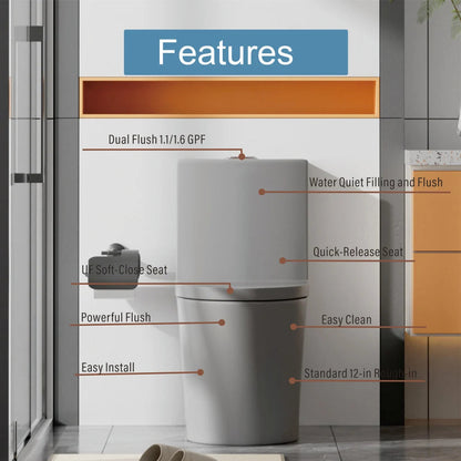 Matte Black Elongated One Piece Toilet Dual Flush 1.1/1.6 GPF Water Saving Map 1000g,Matte Black Ohberri