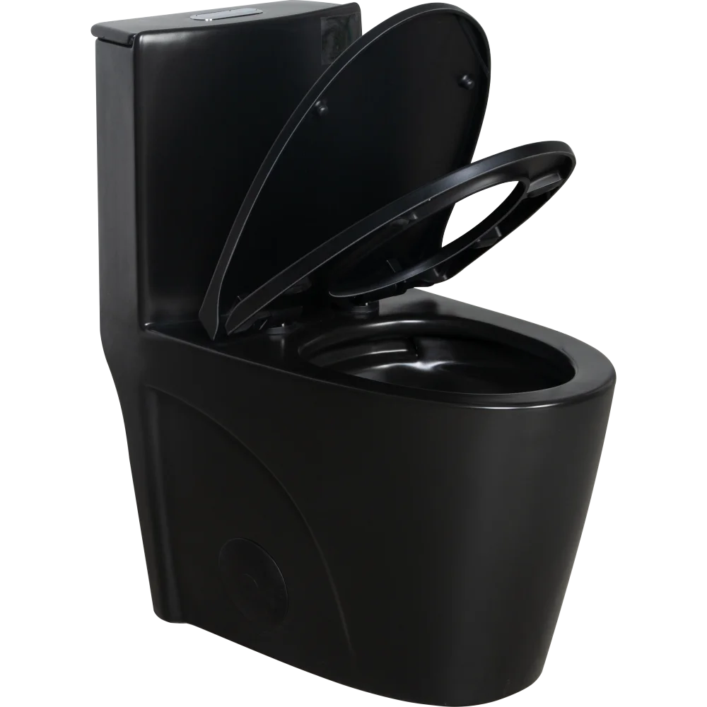 Dual-Flush, Water-Saving Elongated Ohberri