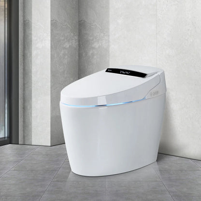 Smart Toilets with Heated Bidet Seat Ohberri