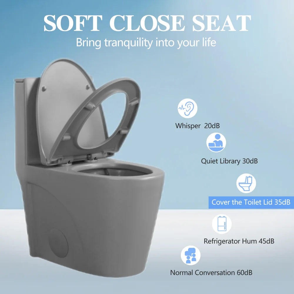 Dual-Flush One Piece Toilet, Water-Saving Elongated Ohberri