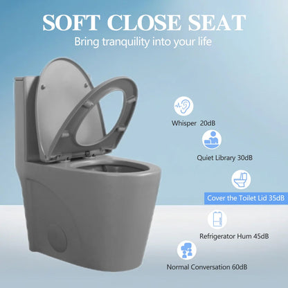 Dual-Flush One Piece Toilet, Water-Saving Elongated Ohberri