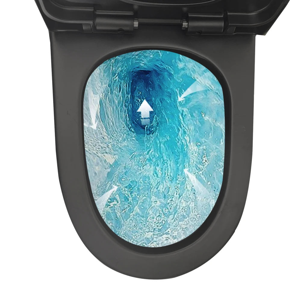 Matte Black Elongated One Piece Toilet Dual Flush 1.1/1.6 GPF Water Saving Map 1000g,Matte Black Ohberri