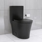 Matte Black Elongated One Piece Toilet Dual Flush 1.1/1.6 GPF Water Saving Map 1000g,Matte Black Ohberri
