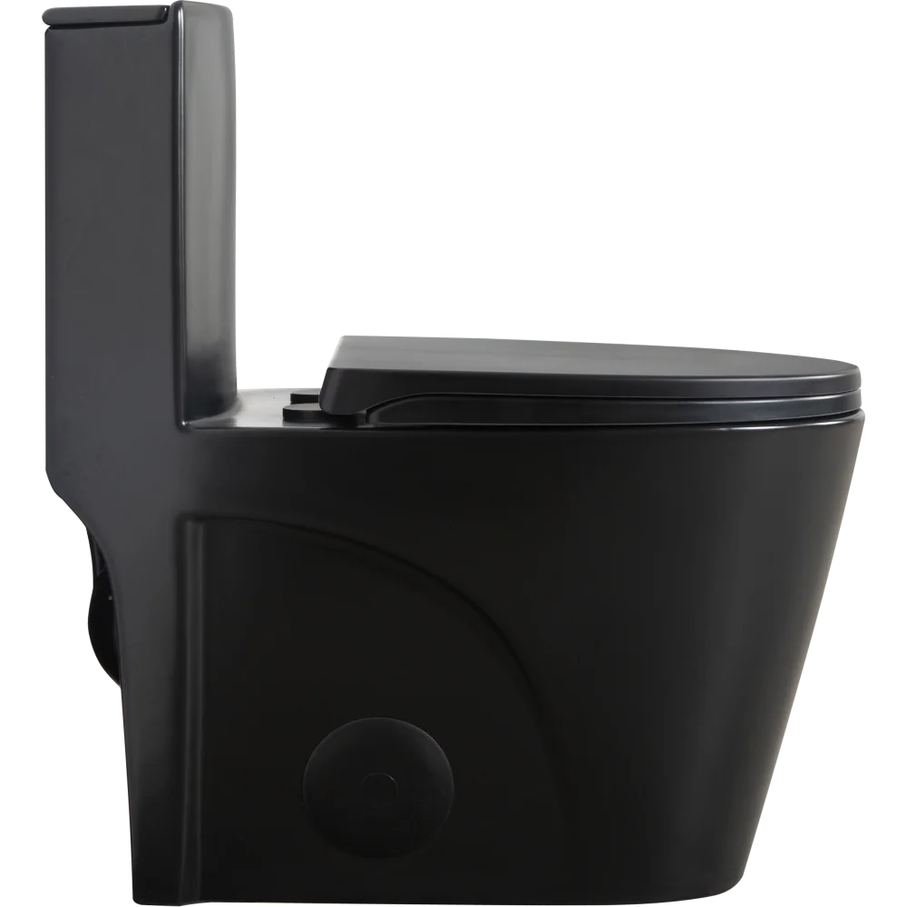 Dual-Flush, Water-Saving Elongated Ohberri