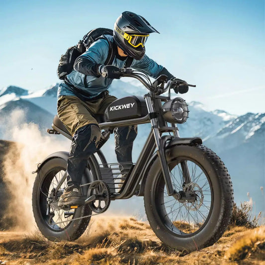 Electric bike 1500W Motor 48V 23AH 20 Inch Fat Tire 32MPH 7-Speed - Ohberri