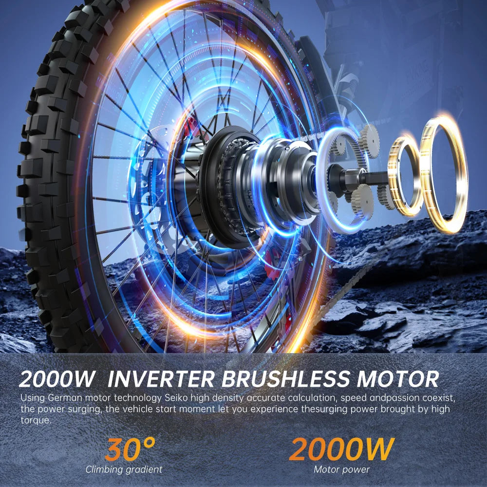 Dual Battery, Peak 2900W 52V, Dual 20Ah, 25inchTires,off-road Mountain E-Bike - Ohberri