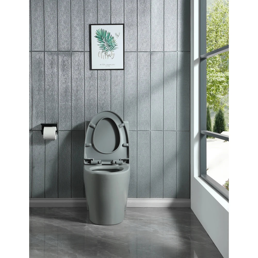 Dual-Flush One Piece Toilet, Water-Saving Elongated Ohberri