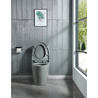 Dual-Flush One Piece Toilet, Water-Saving Elongated Ohberri