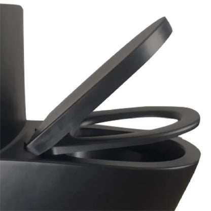 Matte Black Elongated One Piece Toilet Dual Flush 1.1/1.6 GPF Water Saving Map 1000g,Matte Black Ohberri