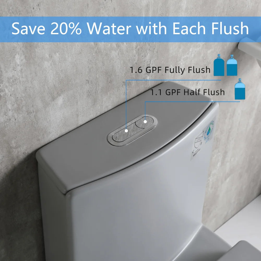 Dual-Flush One Piece Toilet, Water-Saving Elongated Ohberri