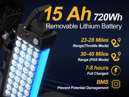 Electric Bike 750W Peak Motor 48V15AH LCD Display 14-inch Tire Electric Bicycle - Ohberri