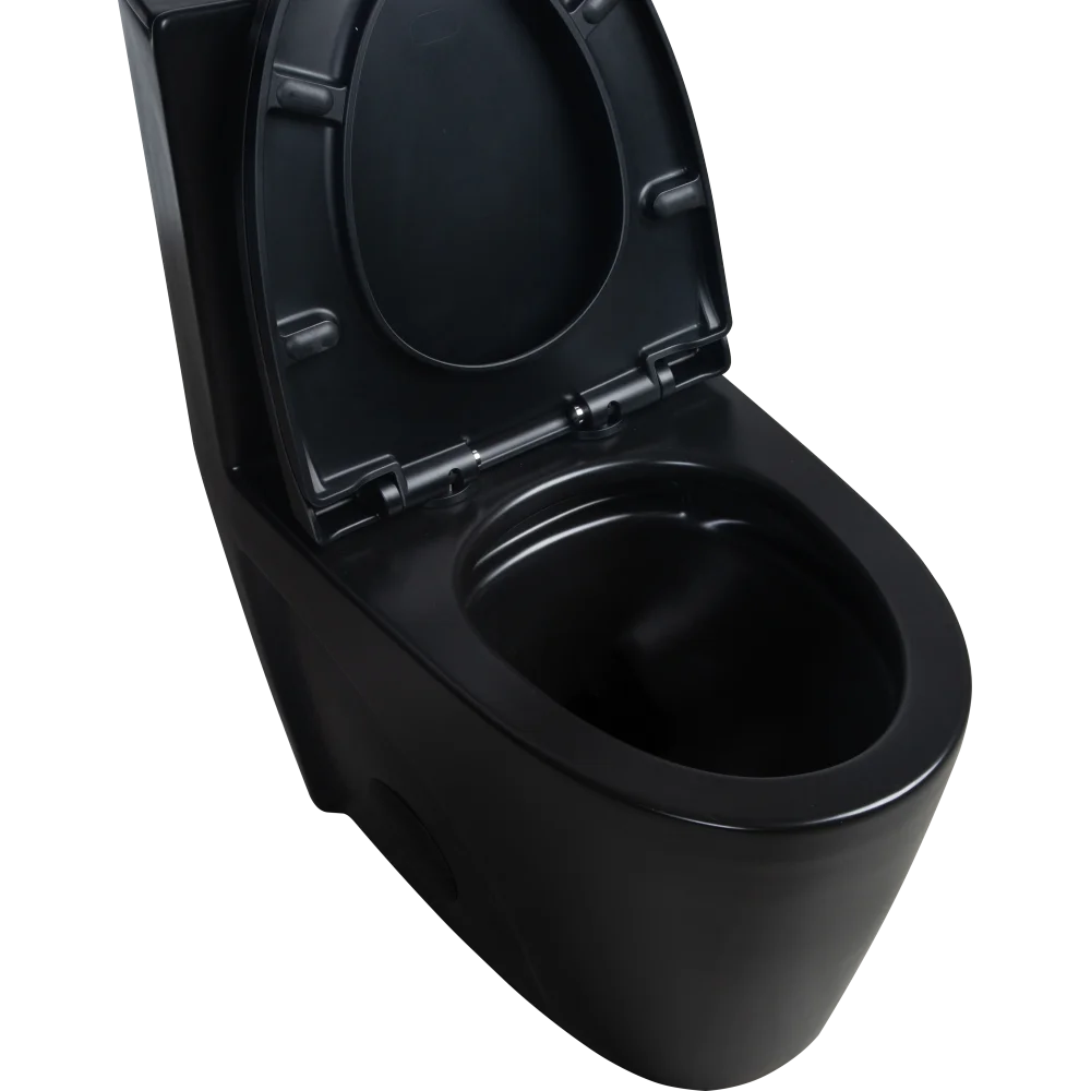 Dual-Flush, Water-Saving Elongated Ohberri