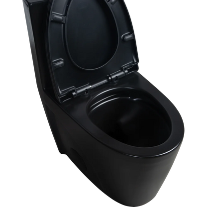 Dual-Flush, Water-Saving Elongated Ohberri