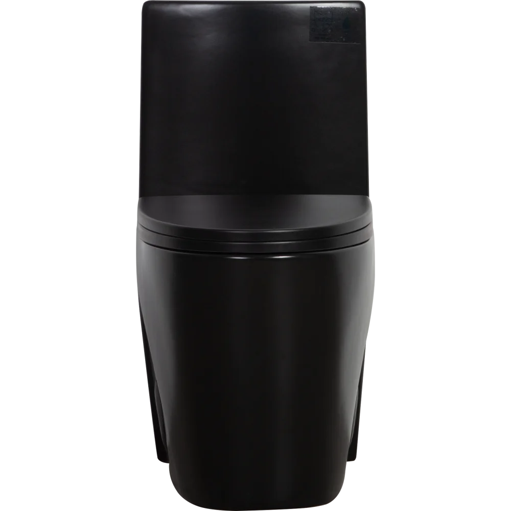 Dual-Flush, Water-Saving Elongated Ohberri