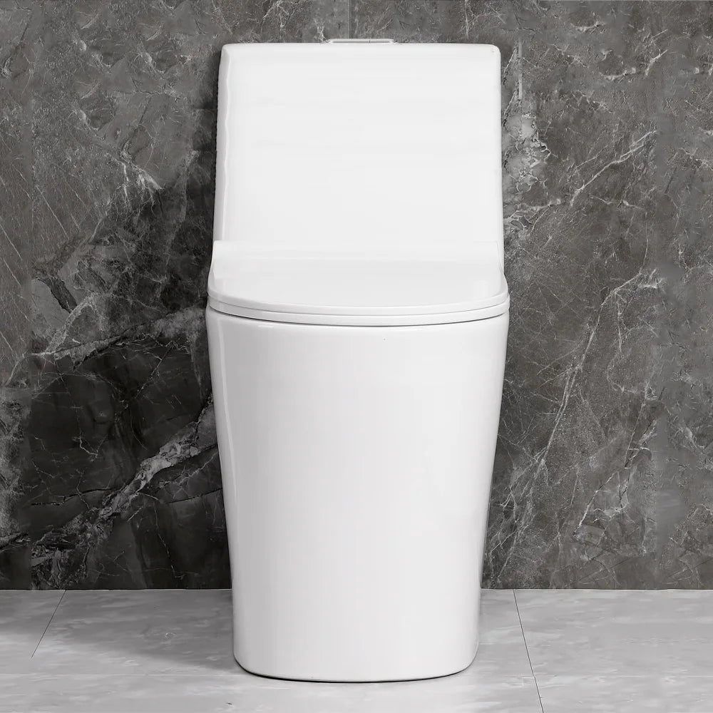 Dual Flush Floor Mounted One-Piece Toilet with Soft-Close Seat In Glossy White Ohberri