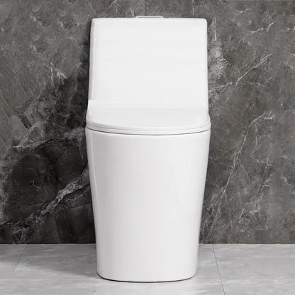Dual Flush Floor Mounted One-Piece Toilet with Soft-Close Seat In Glossy White Ohberri